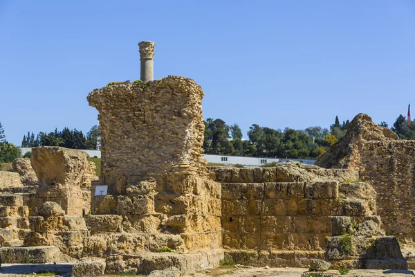 Old Carthage ruins — Stock Photo, Image