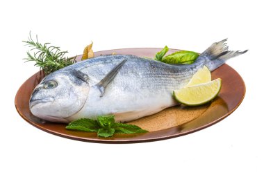 taze çiğ dorada