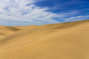 Maspalomas Duna - Kanarya adası Büyük Kanarya Çölü
