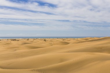 Maspalomas Duna - Kanarya adası Büyük Kanarya Çölü