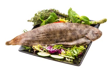 dil balığı balık