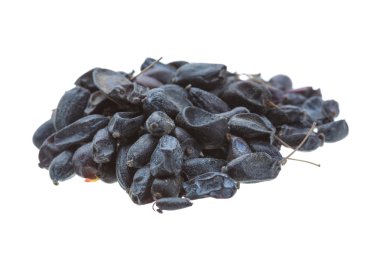 Kurutulmuş barberries