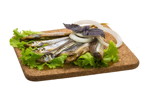 Capelin essiccato — Foto Stock