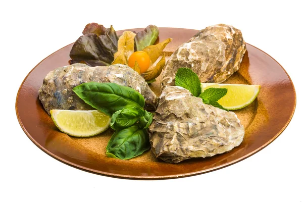 Fresh oyster — Stock Photo, Image