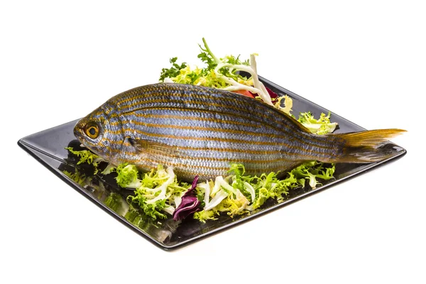 Salema porgy - Sarpa-Fisch — Stockfoto