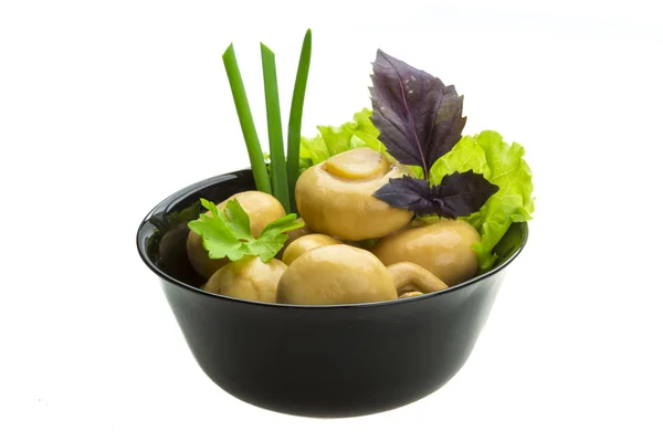 Ripe fresh Champignon — Stock Photo, Image