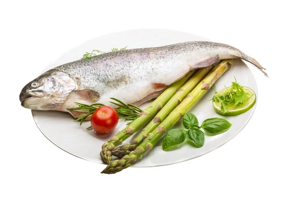 Fresh raw rainbow trout — Stock Photo, Image