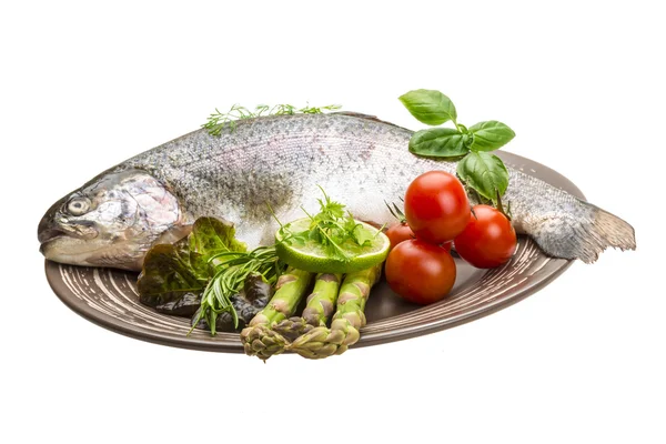 Fresh raw rainbow trout — Stock Photo, Image