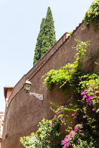 Trastevere District, Roma —  Fotos de Stock