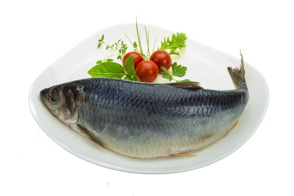 Marinated herring with herbs — Stock Photo, Image