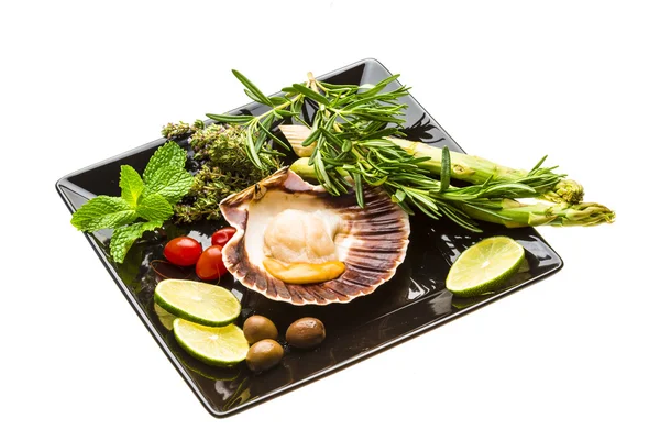 Scallop with asparagus, lime, mint and rosemary — Stock Photo, Image