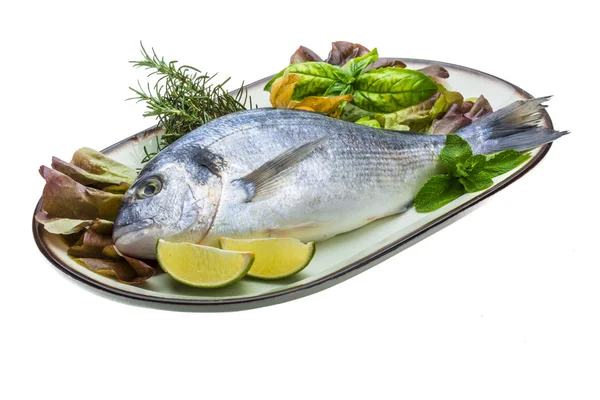 Fresh raw dorada — Stock Photo, Image