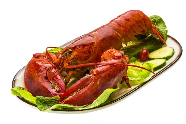 Duże homara — Zdjęcie stockowe
