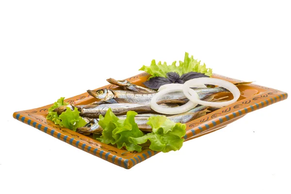 Capelin essiccato — Foto Stock