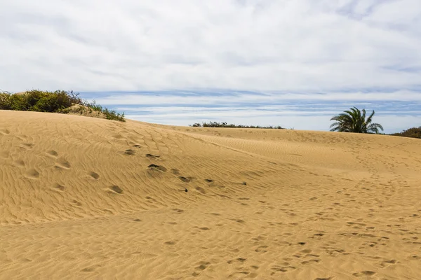 Maspalomas Duna - Wüste auf der Kanarischen Insel Gran Canaria — Stockfoto