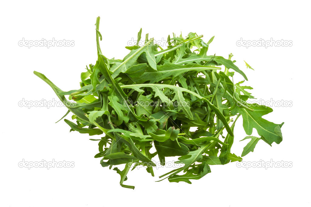 Ruccola