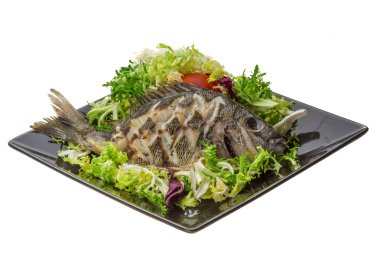ızgara tilapia ile salata