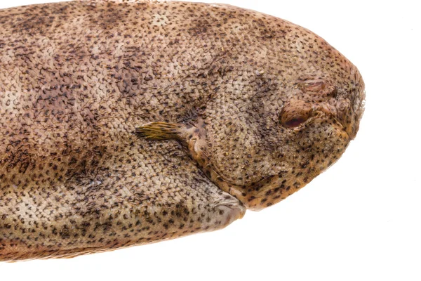 Fiska dover sole — Stockfoto