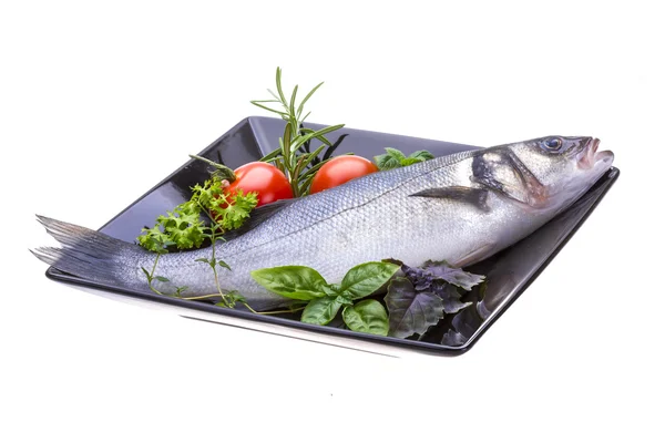 Raw seabass — Stock Photo, Image