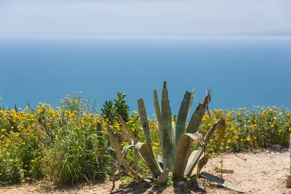 Mittelmeerküste — Stockfoto