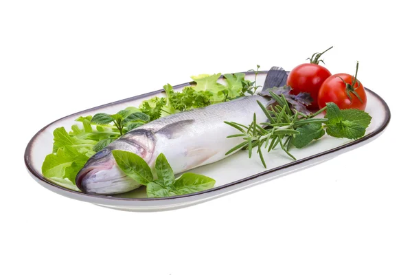 Raw seabass — Stock Photo, Image