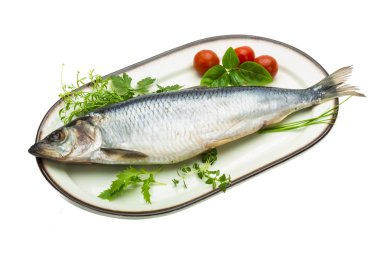 otlar ile marine edilmiş ringa balığı