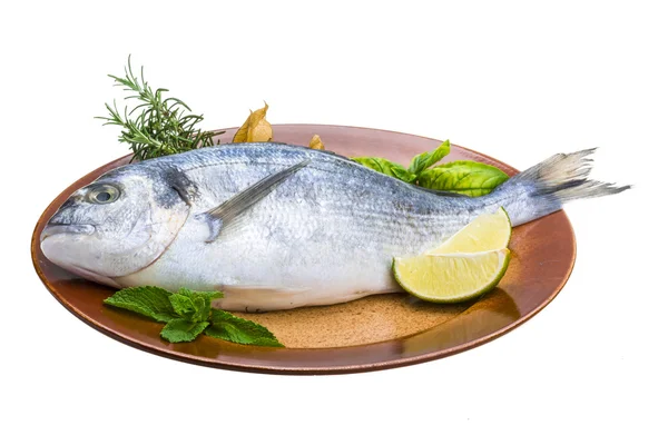 Fresh raw dorada — Stock Photo, Image