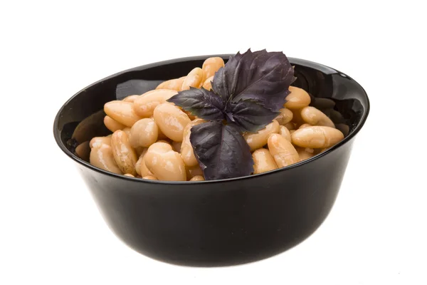 Konzervované fazole — Stock fotografie