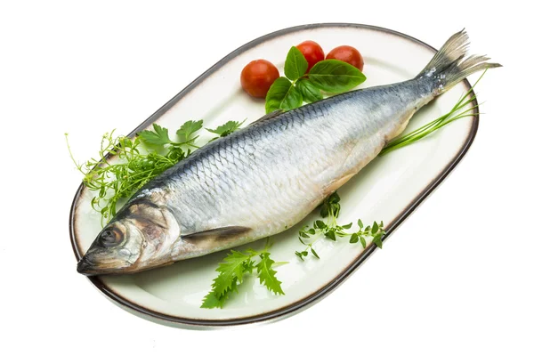 Marinated herring with herbs — Stock Photo, Image