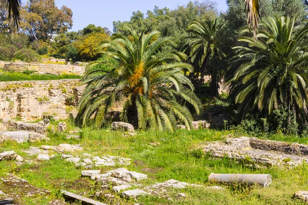 Old Carthage ruins — Stock Photo, Image