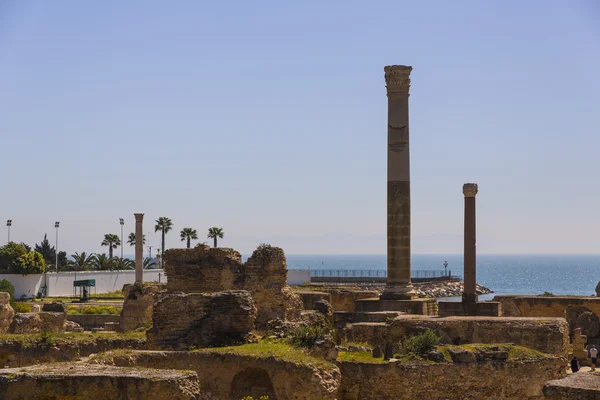 Old Carthage ruins — Stock Photo, Image