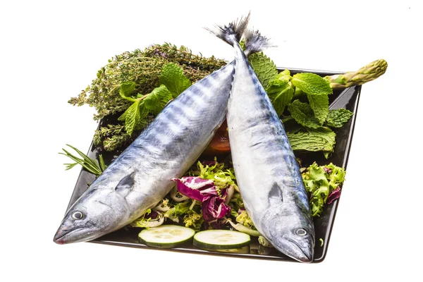 Čerstvé atlanticmackerel — Stock fotografie