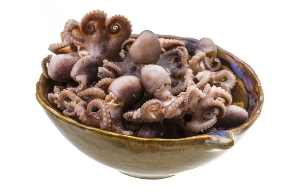 Gekookte octopus — Stockfoto