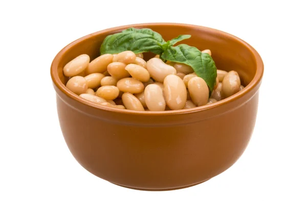 Tinned bean — Stock Photo, Image