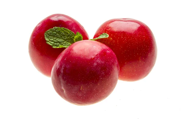 Bright ripe plum with mint — Stock Photo, Image