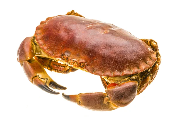 Raw crab — Stock Photo, Image