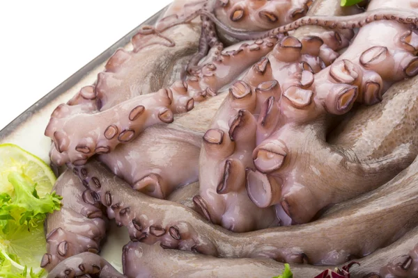 大章鱼 — 图库照片