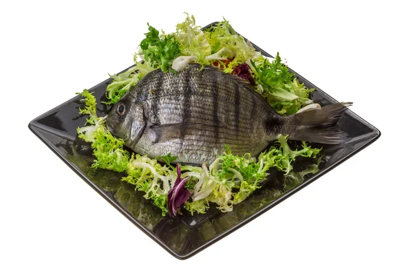 Rohes Tilapia — Stockfoto