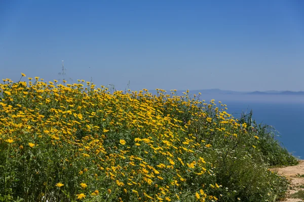 Costa del Mar Mediterraneo — Foto Stock