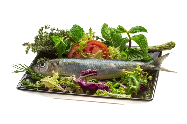 Fresh Herring — Stock Photo, Image