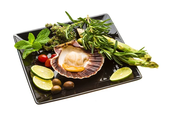 Scallop with asparagus, lime, mint and rosemary — Stock Photo, Image