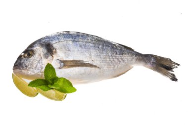taze çiğ dorada