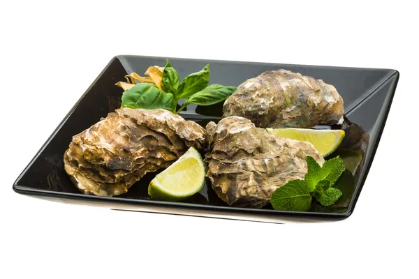 Fresh oyster — Stock Photo, Image