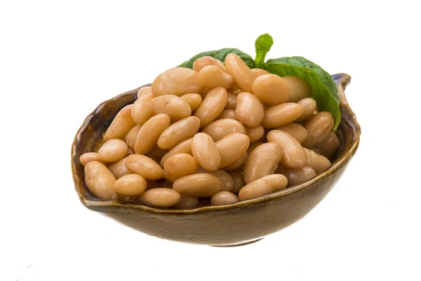 Tinned bean — Stock Photo, Image