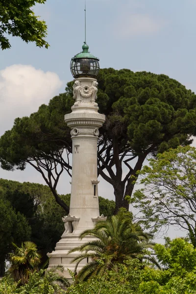 Små fyr mellan träden i Rom, Italien — Stockfoto