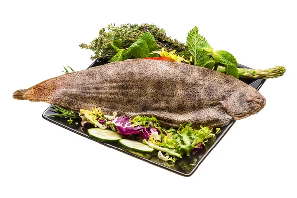 Fish Dover sole — Stock Photo, Image