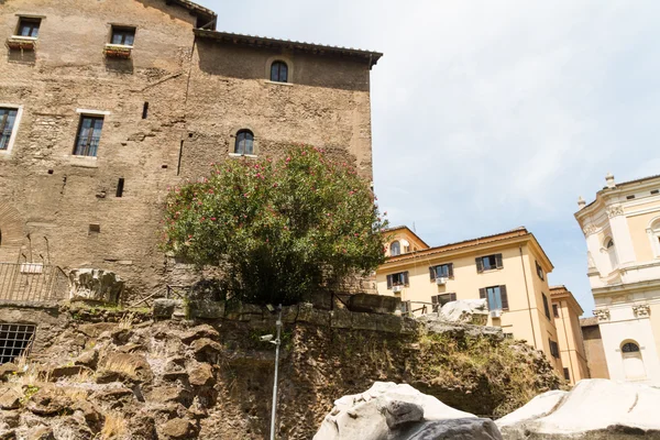 The Theater of Marcellus — Stock Photo, Image