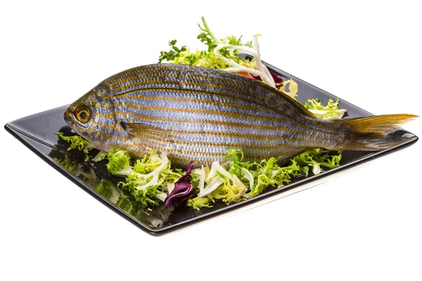 Salema porgy - Sarpa-Fisch — Stockfoto