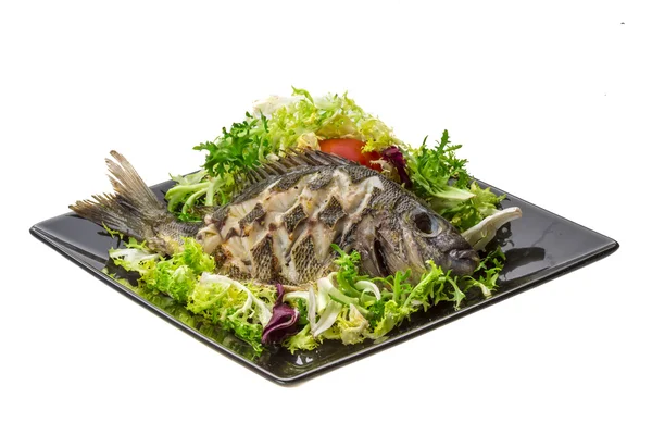 Gegrillter Tilapia mit Salat — Stockfoto