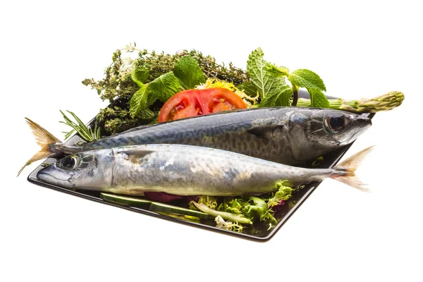 Atlantic raw sardine — Stock Photo, Image